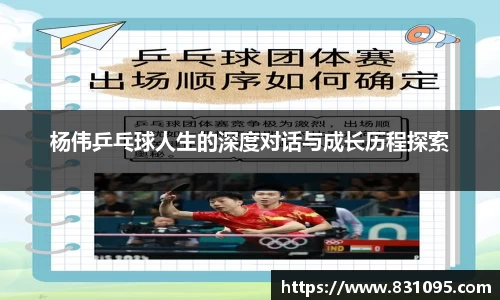 杨伟乒乓球人生的深度对话与成长历程探索